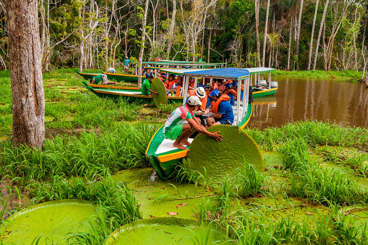 manaus brasilien amazonas tour