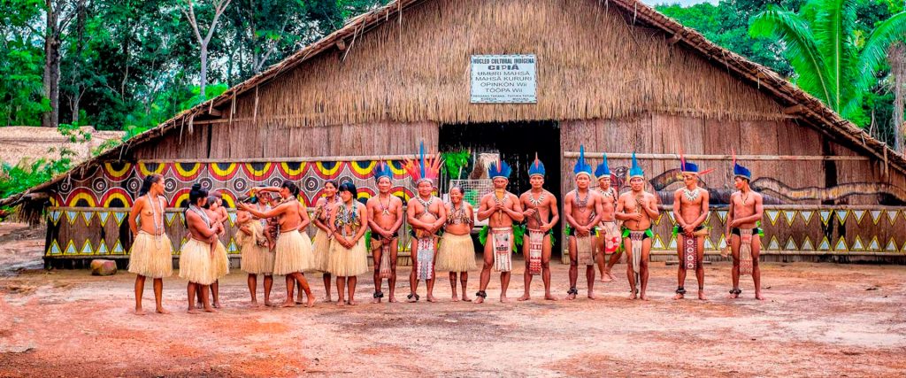 passeio safári amazônico