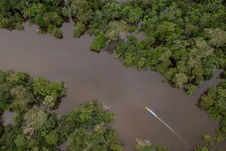 a canoe in the negro river