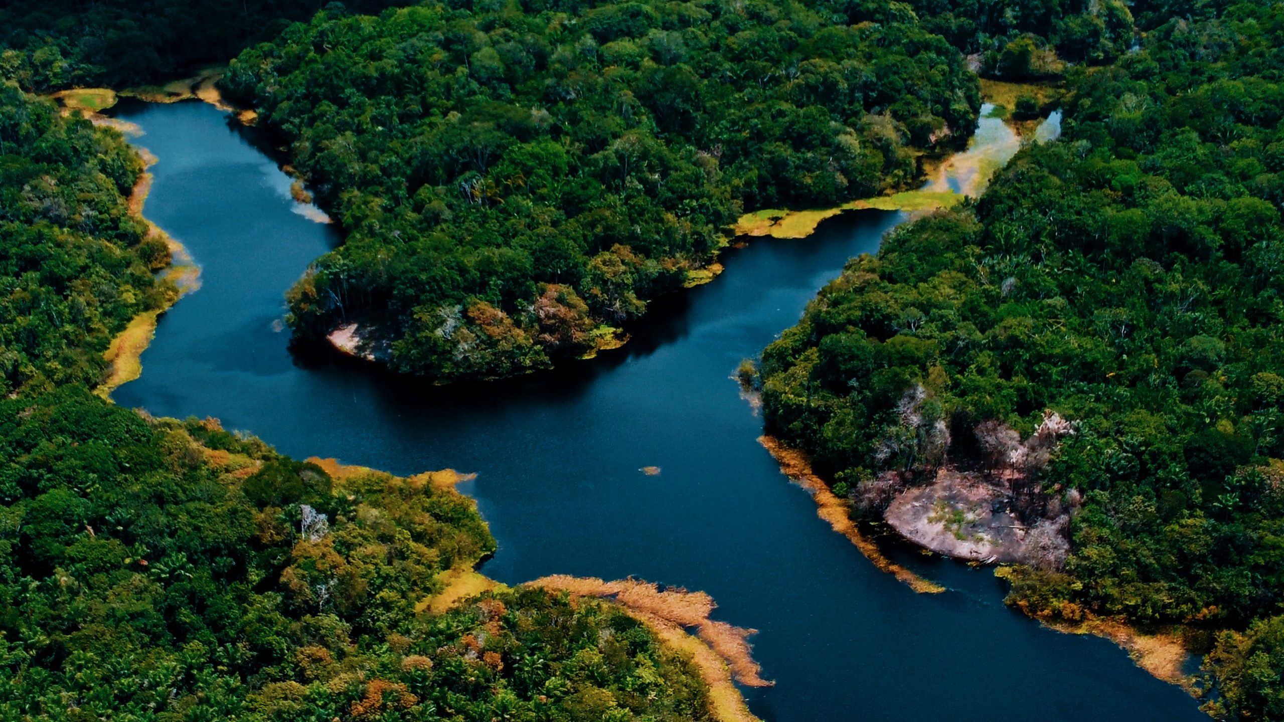 picture of amazon camp lodge in the amazonia forest