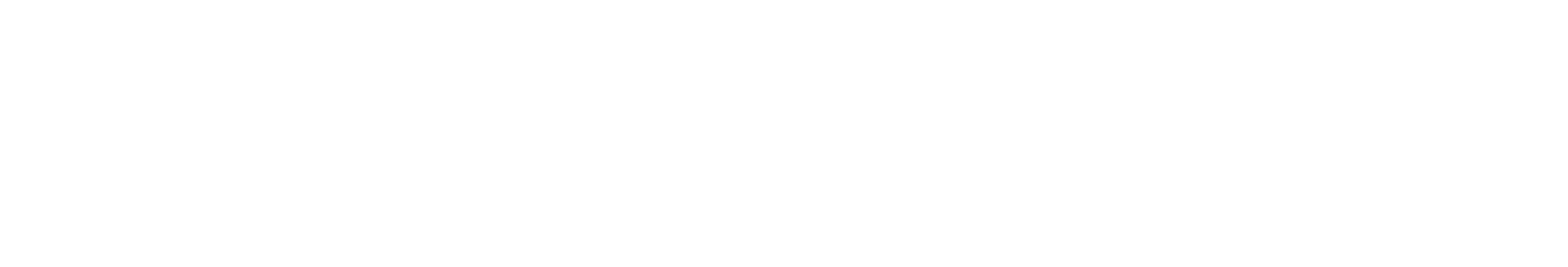 Eu, Waldemar: Web Designer