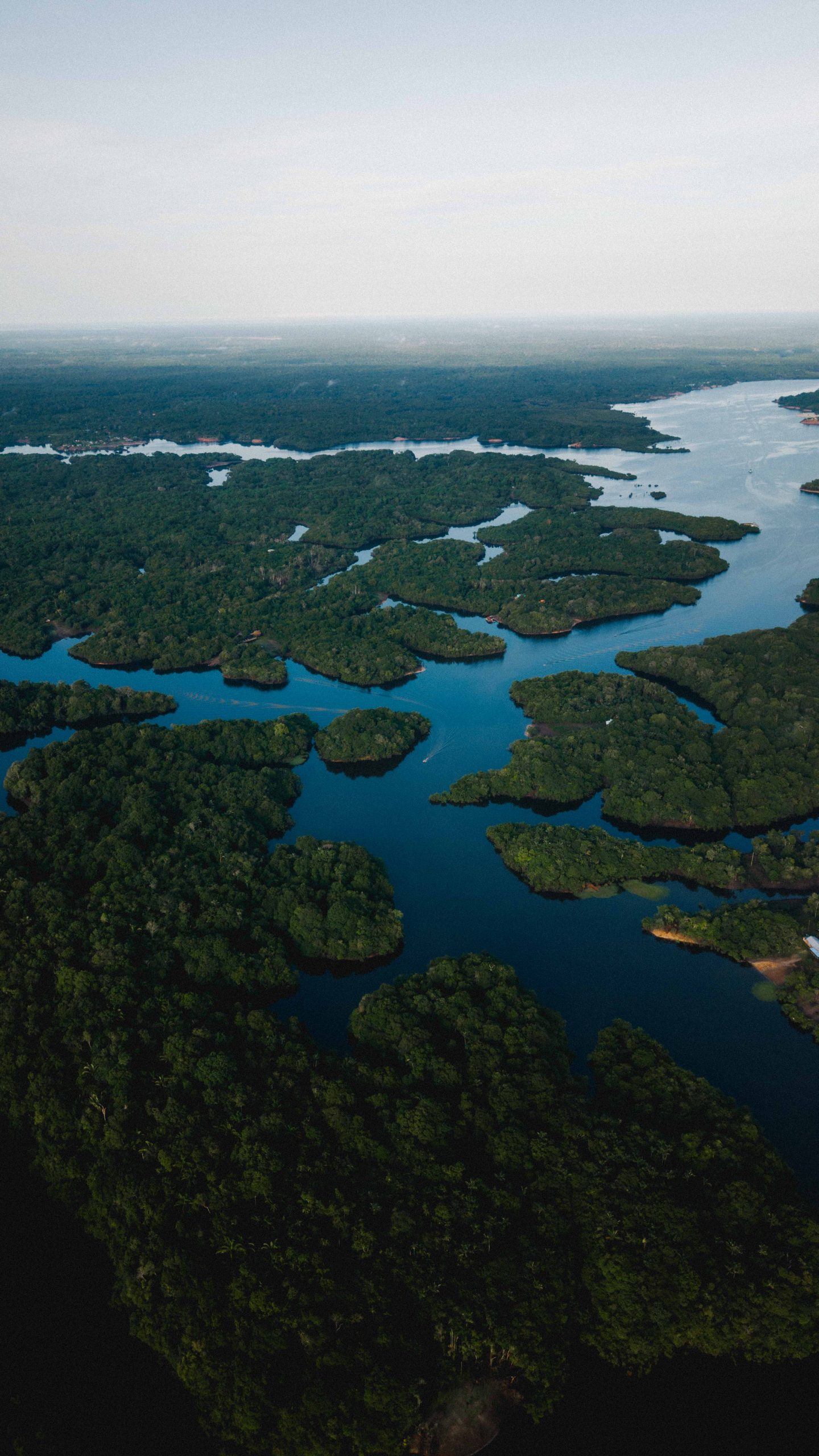 amazon camp lodge vista aérea - pode-se observar toda a floresta ao redor , uma floresta primária