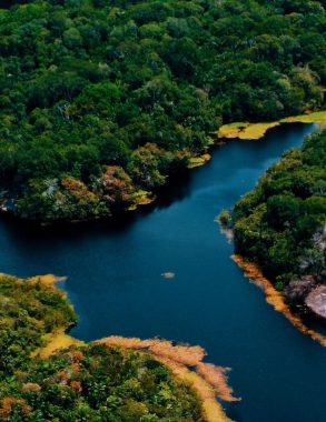 imagem aérea do amazon camp lodge no rio negro