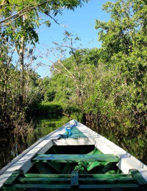 a full day tour to explore the best experience in Amazon rainforest