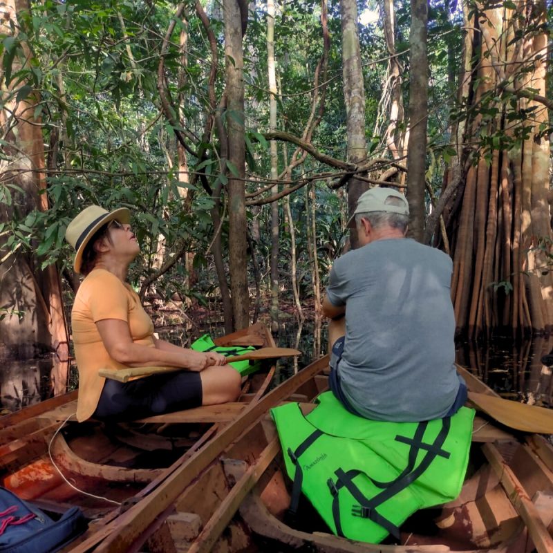 a tour by canoe in the flooded jungle in the amazon rainforest in rio negro