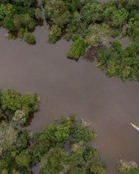 Amazon by Canoe