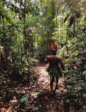 indio tatuyo andando na selva amazônica