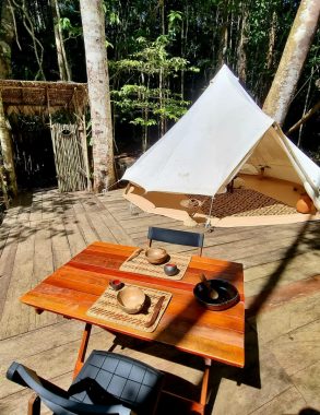 the amazon glamping in the jungle