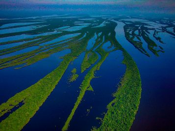 visite amazônia