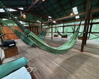 asredes-amazoncamplodge-min