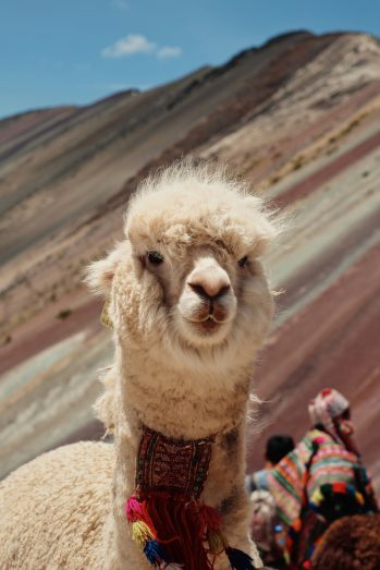 cusco-e-machu-pichu-2