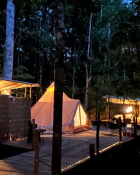 at night in the forest - amazon glamping lodge